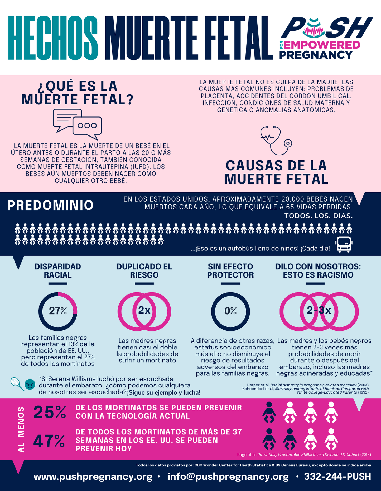 Stillbirth Facts Flyer (10 count) - English & Spanish